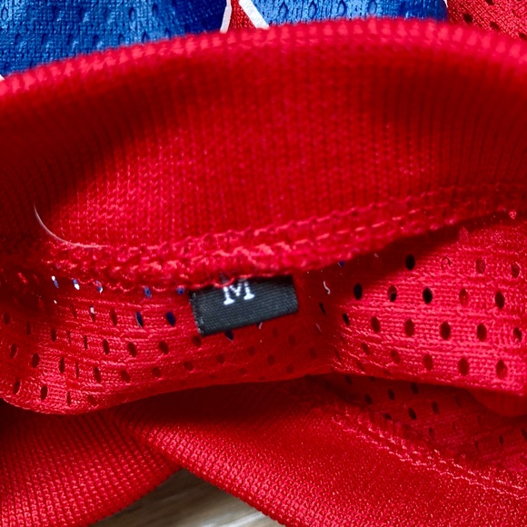 Go Red Sox! Doggie Jacket & Jersey - Picture 13 of 15